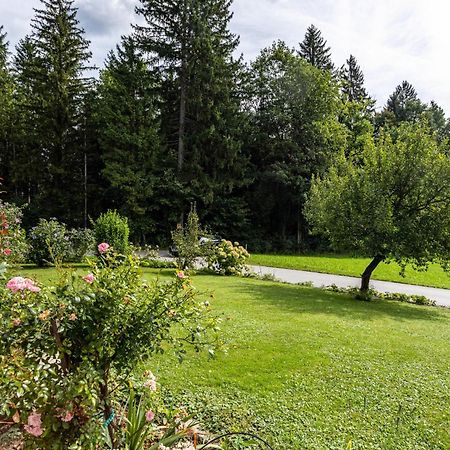 Ferienwohnung Im Haus Stoeckl Angerberg  외부 사진